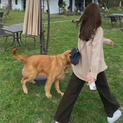 冒险兄弟第一季